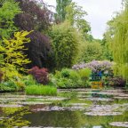 Digging into Monet’s Garden: Where Art Meets Nature!